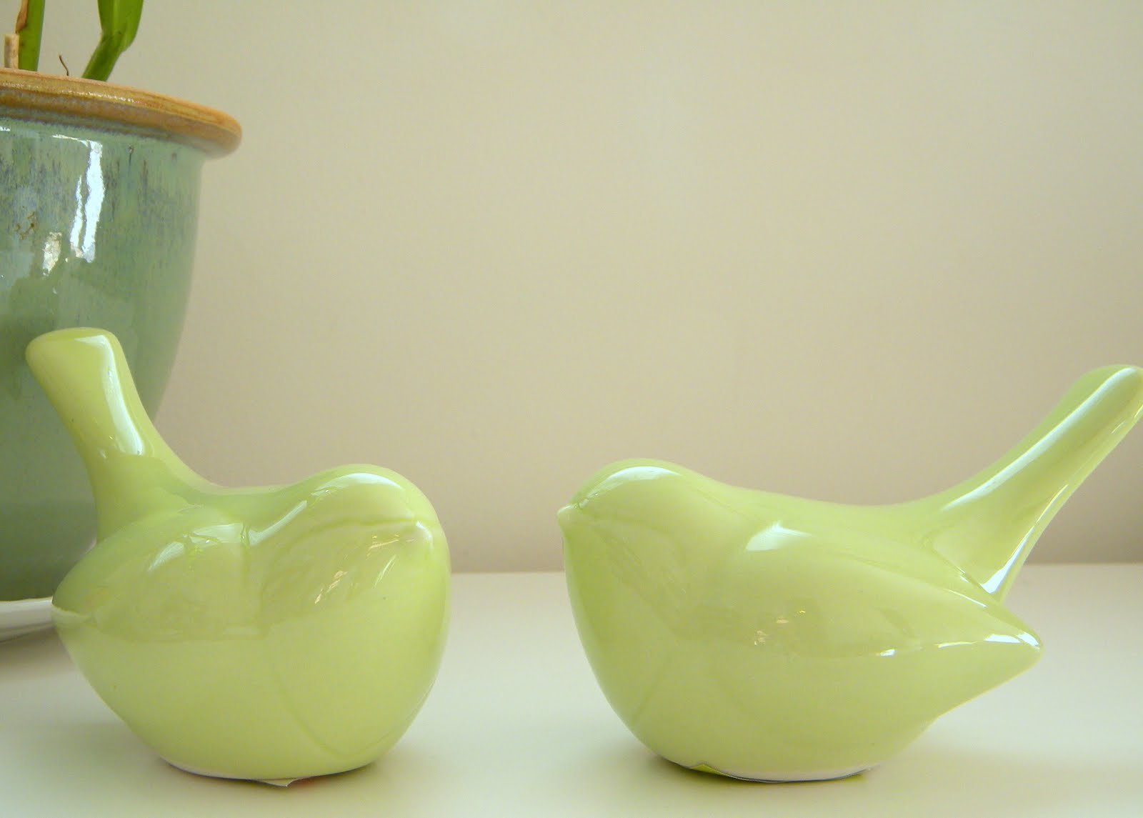 Amazon bird feeders image