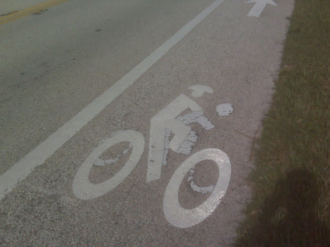 Florida DMV--Well Done Painting The New Bike Path Conveniently Over the Old One.
