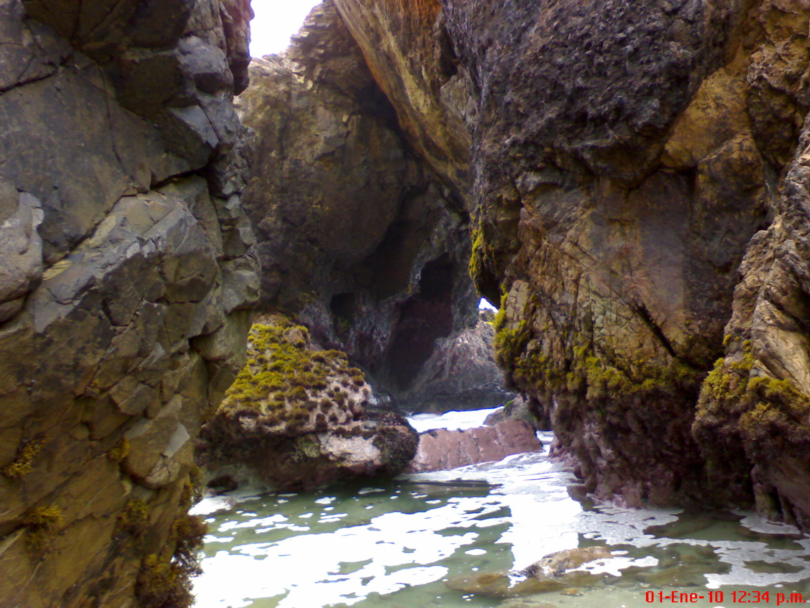 [DSC09919.JPG]