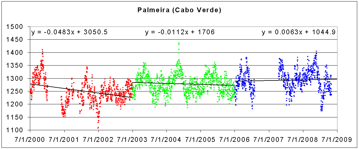 [palmeira.PNG]