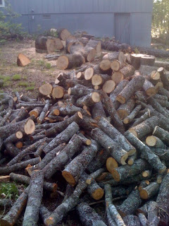 Firewood out back