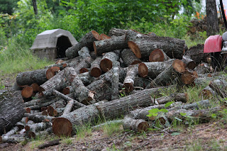 pile of wood