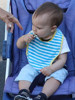 Mason eats the daisy