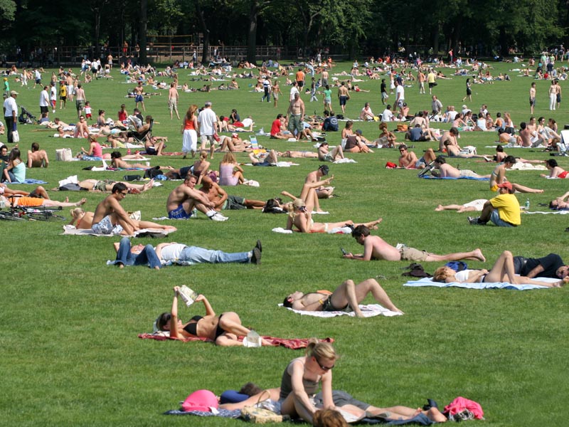 [sheep_meadow_4july05.jpg]