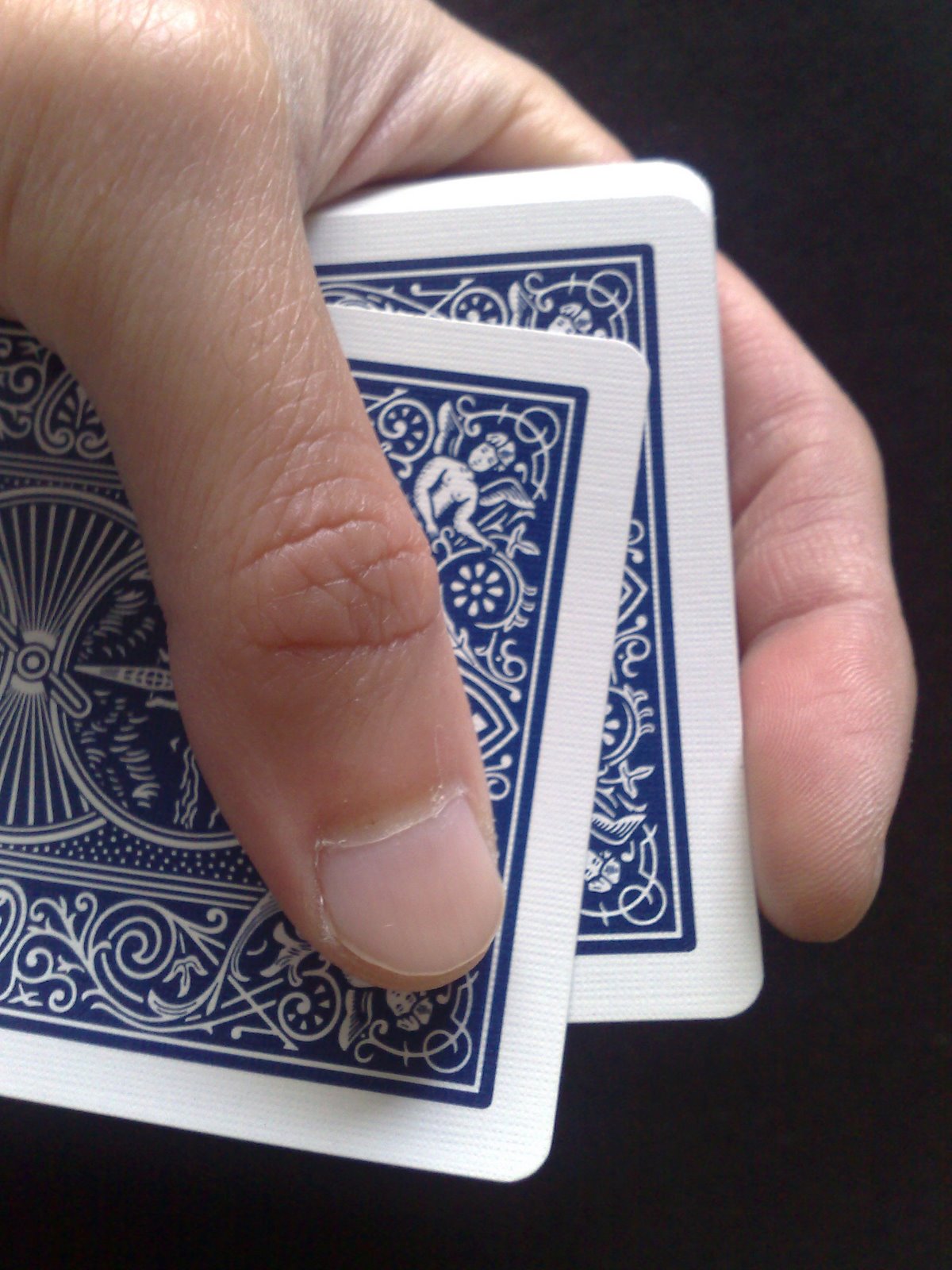 [holding+cards.jpg]