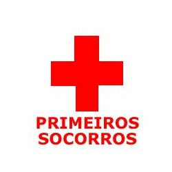 PRIMEIROS SOCORROS