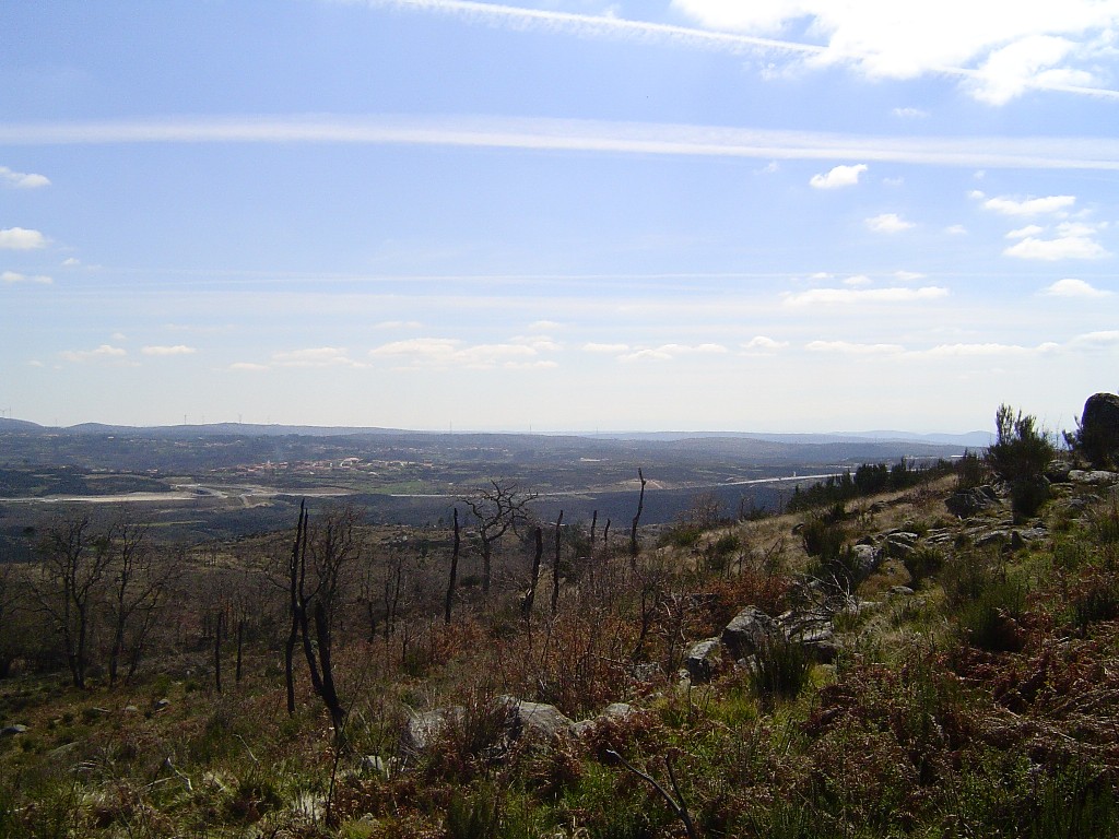 [DSC02253.JPG]