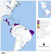 Distribución