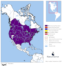 Distribución