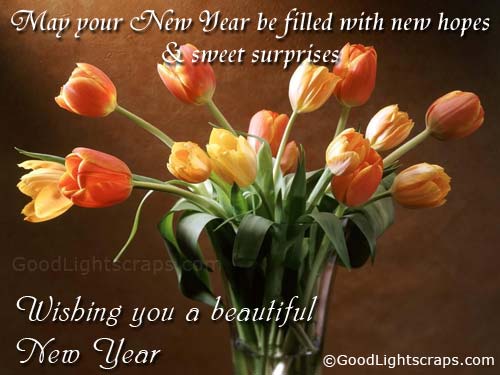 HAPPY NEWYEAR 2011 WISHES happy new year wishes quotes. HAPPY NEWYEAR 2011 WISHES