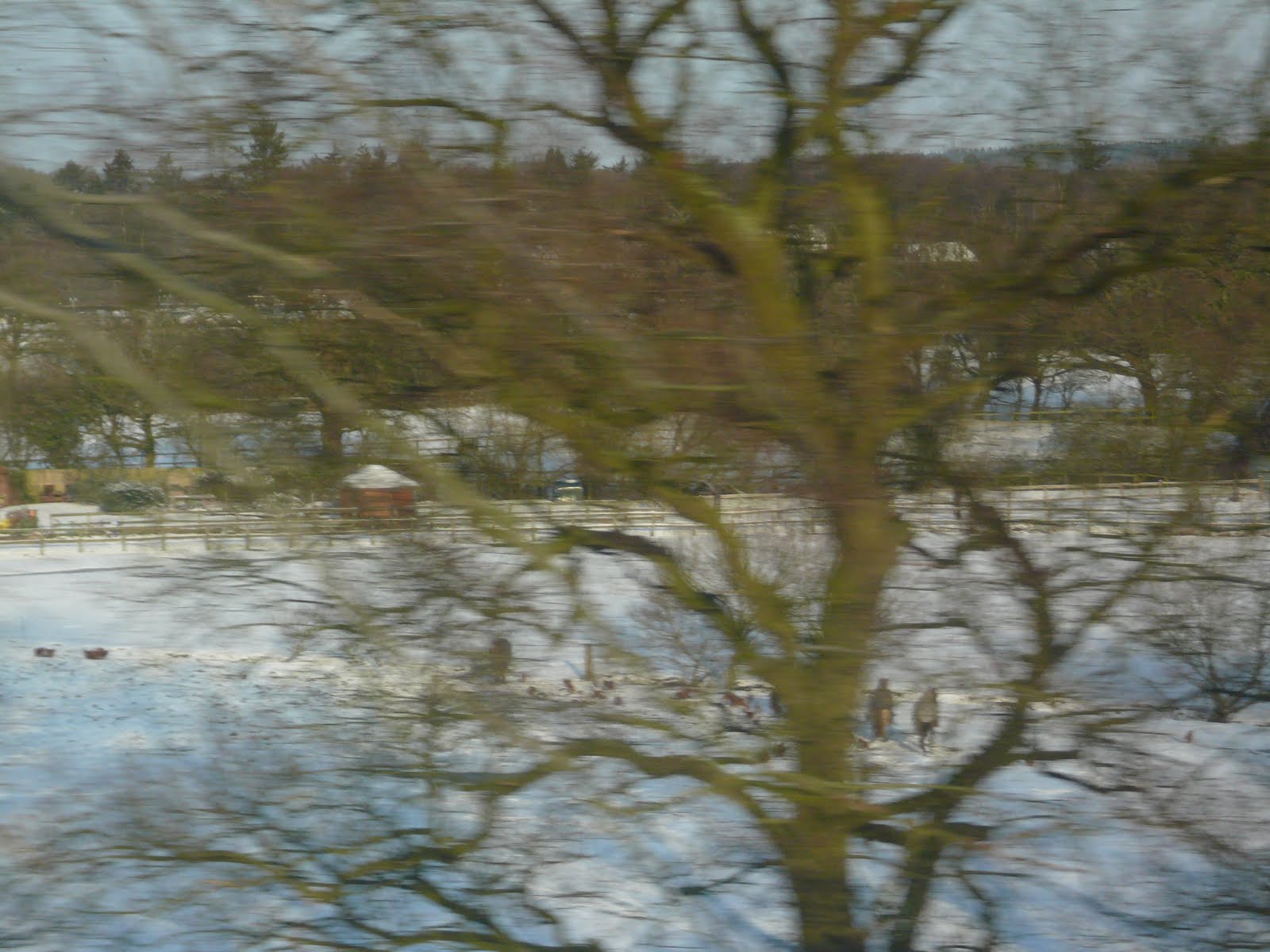 [P1060604.JPG]