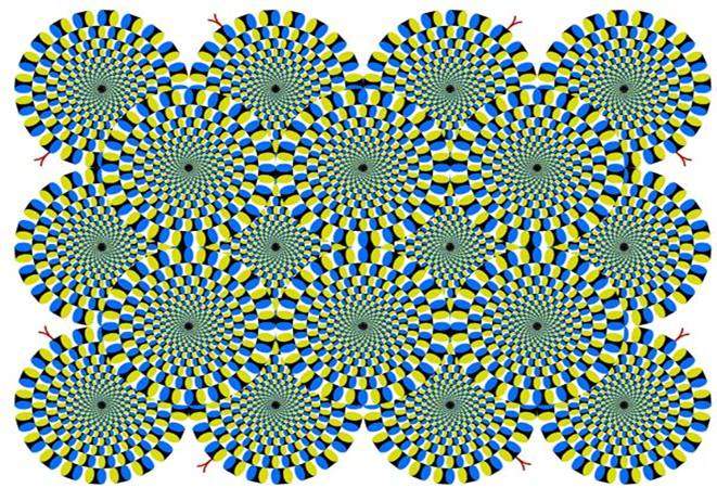 [optical_illusion.jpg]