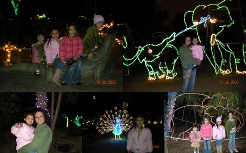 [Zoolights.jpg]