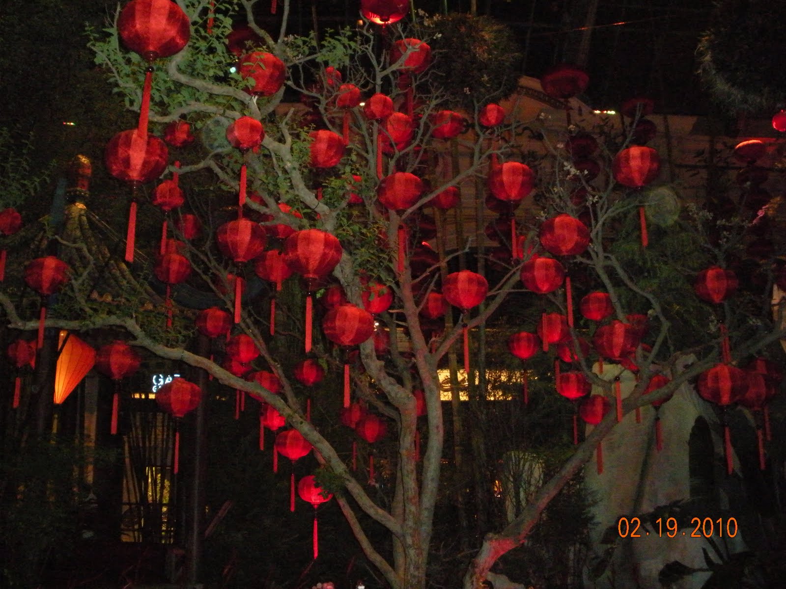 [DSCN6725.JPG]