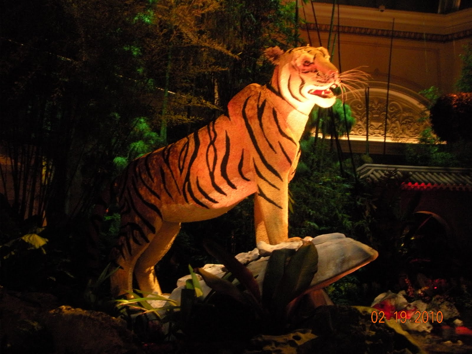 [DSCN6730.JPG]