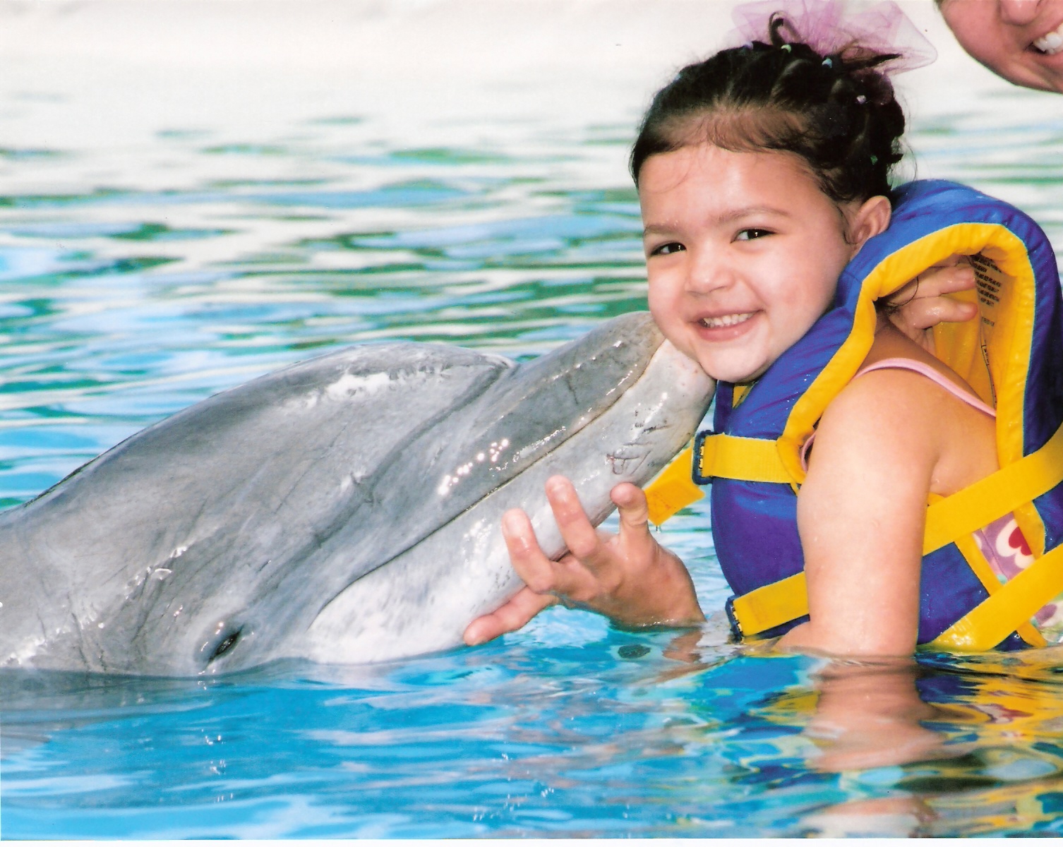 [Dolphin.jpg]