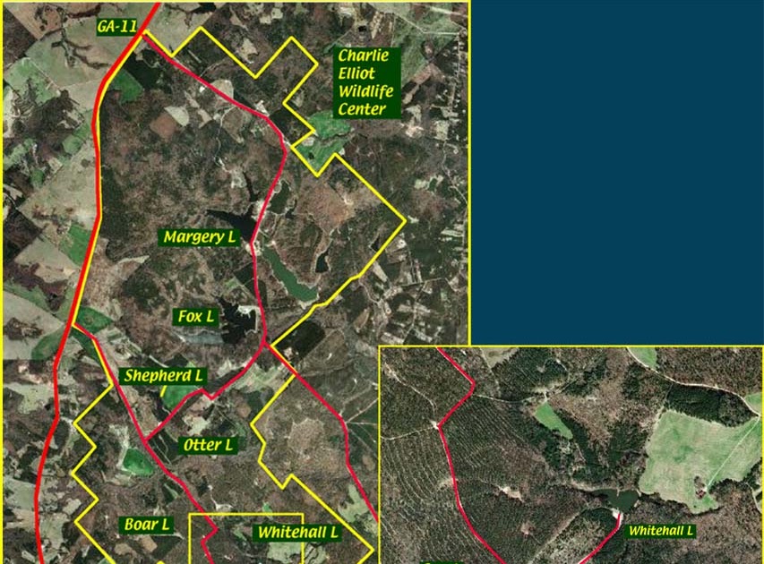 Charlie Elliott Fishing Map Anybody Seen My Focus?: Charlie Elliott Wildlife Center: Whitetail Lake