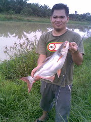 patin 2.8Kg