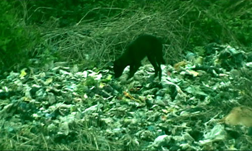 [evergreen-video-art-stills-M-Akbar8.jpg]