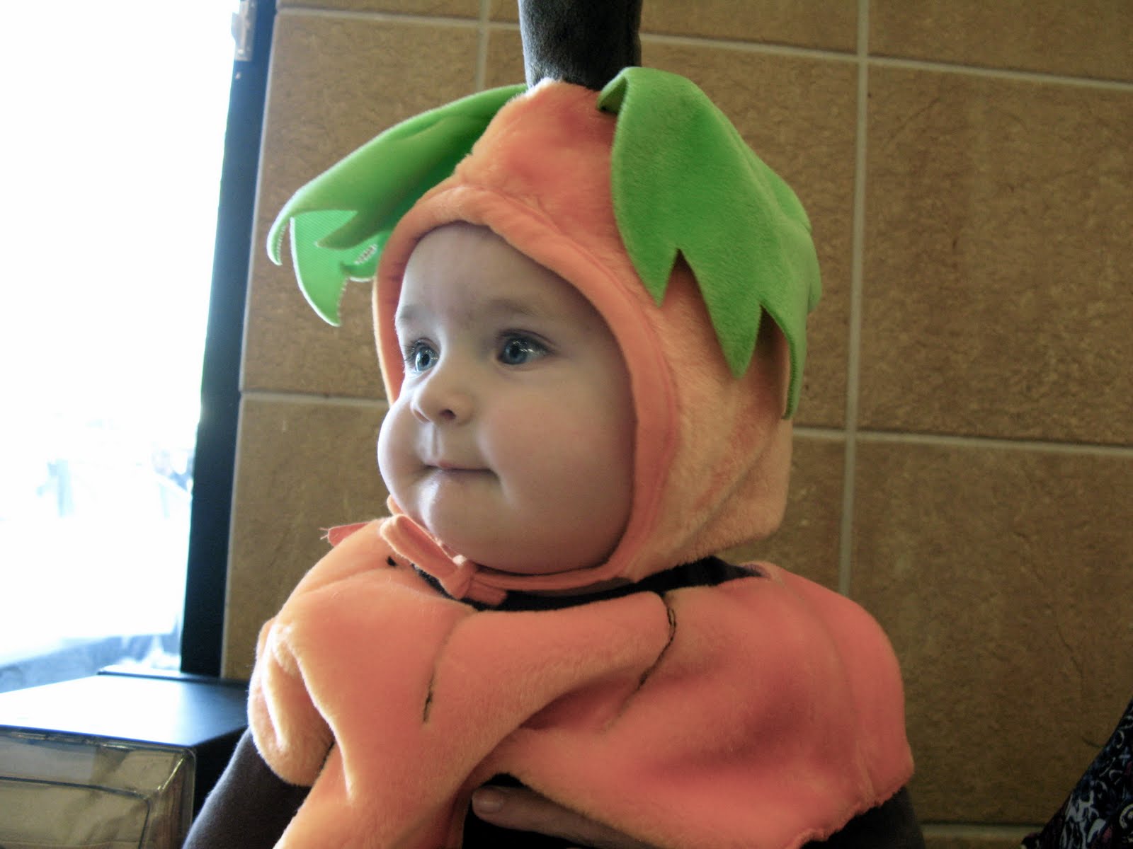 [IMG_3962_2.JPG]