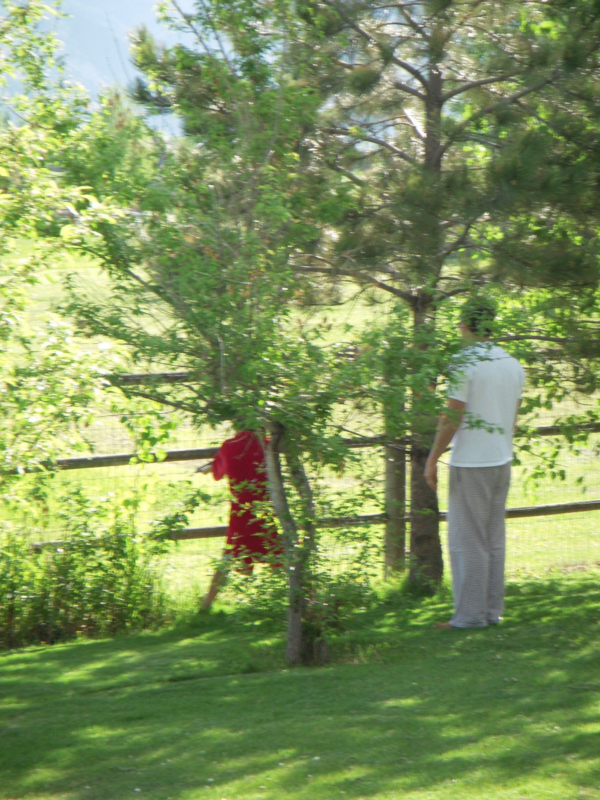 [gopher+hunting+005.JPG]