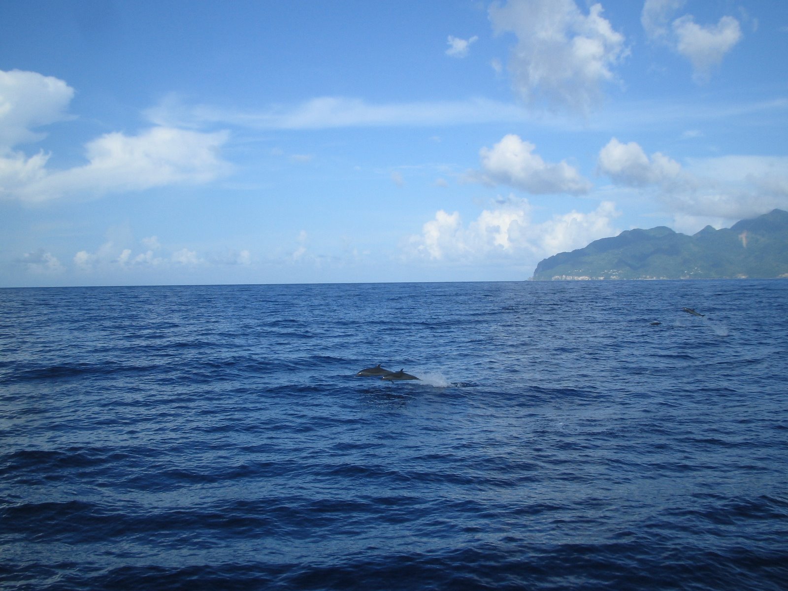 [IMG_7122.JPG]