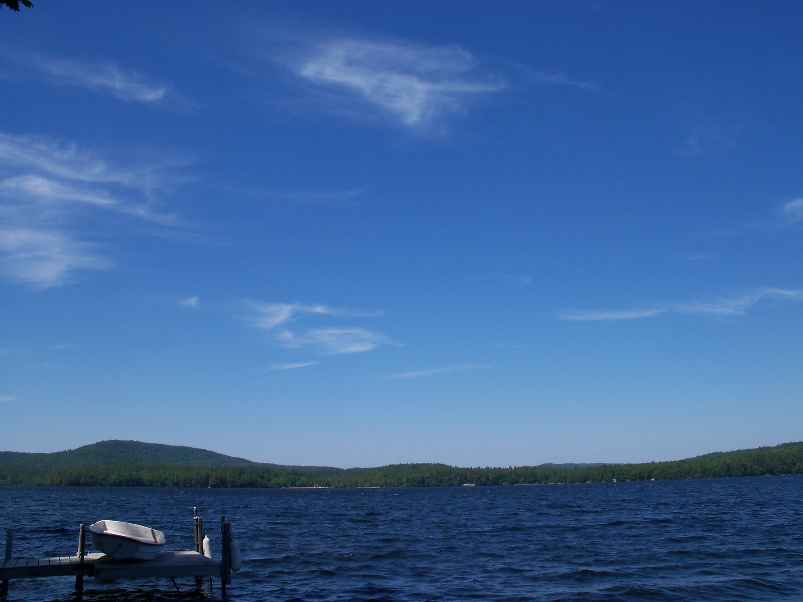 Max Holden Panther Pond