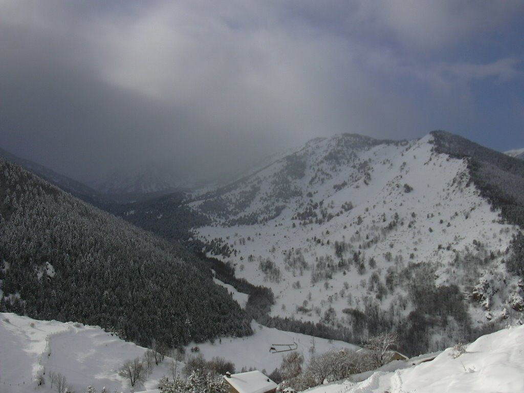 [DSCN0655.JPG]