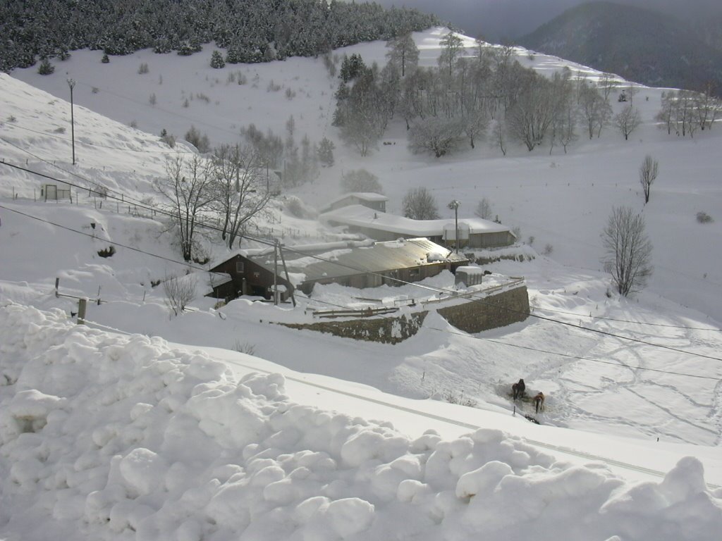 [DSCN0657.JPG]