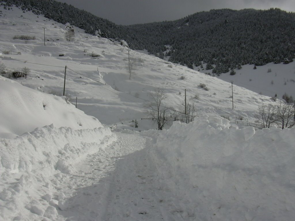 [DSCN0656.JPG]