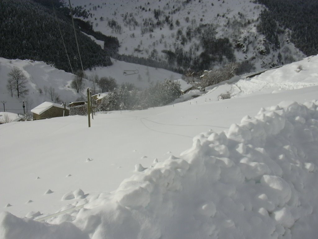 [DSCN0658.JPG]