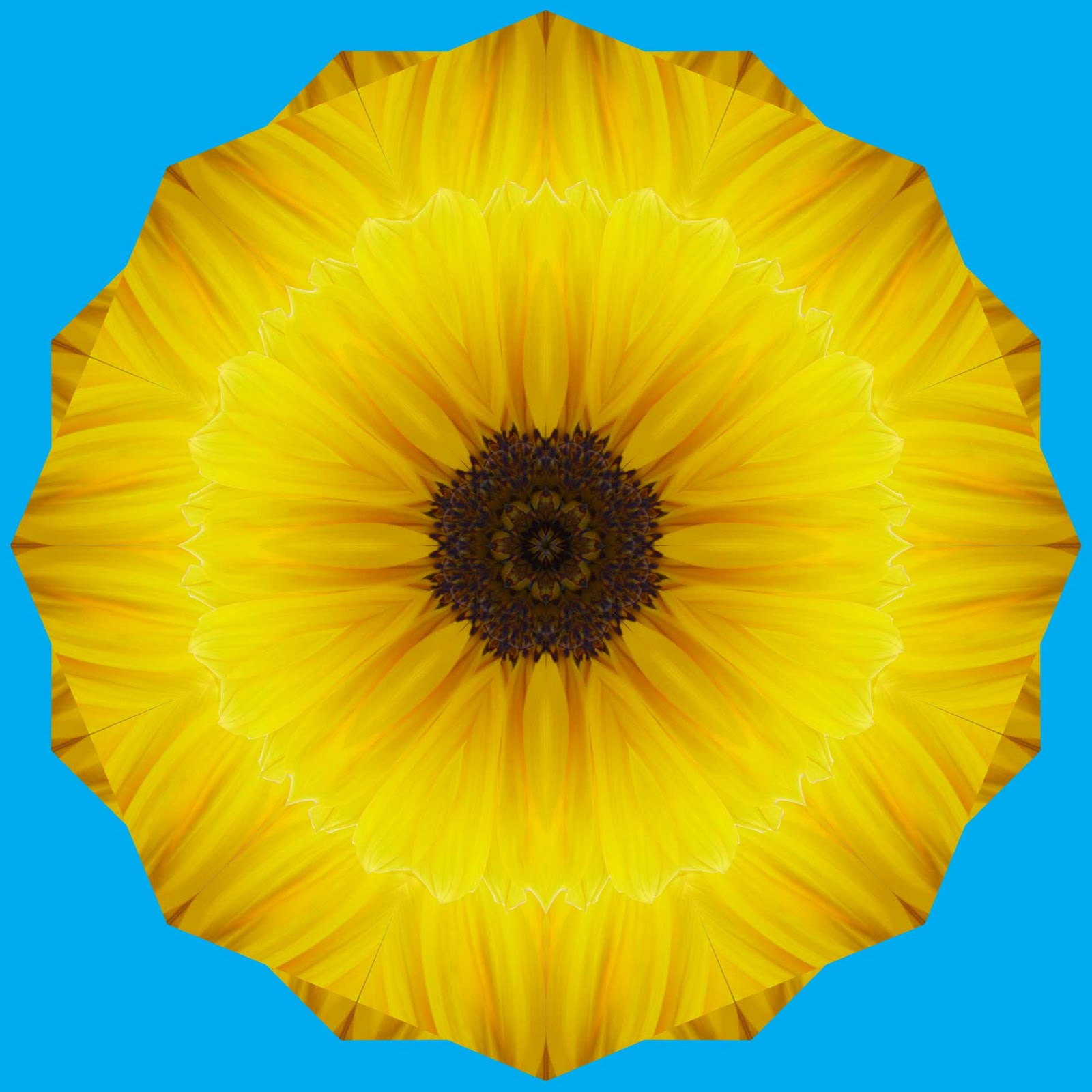 Nightblooms Process Sunflower Cutout Demo