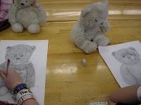 Direct+observation+drawing