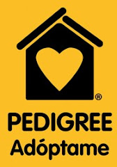 PEDIGREE ADOPTAME