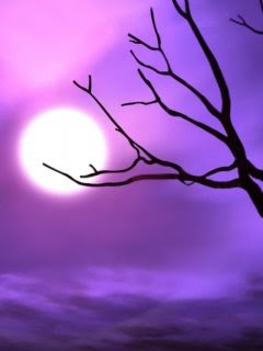 3d wallpapers for cellphone
