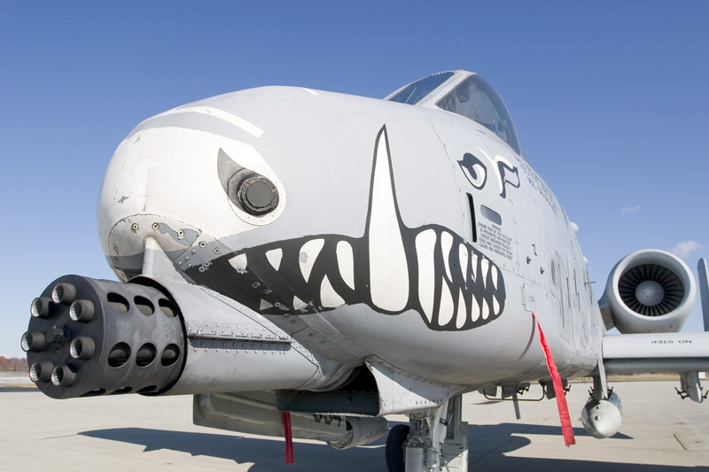 warthog-gun-mouth.jpg