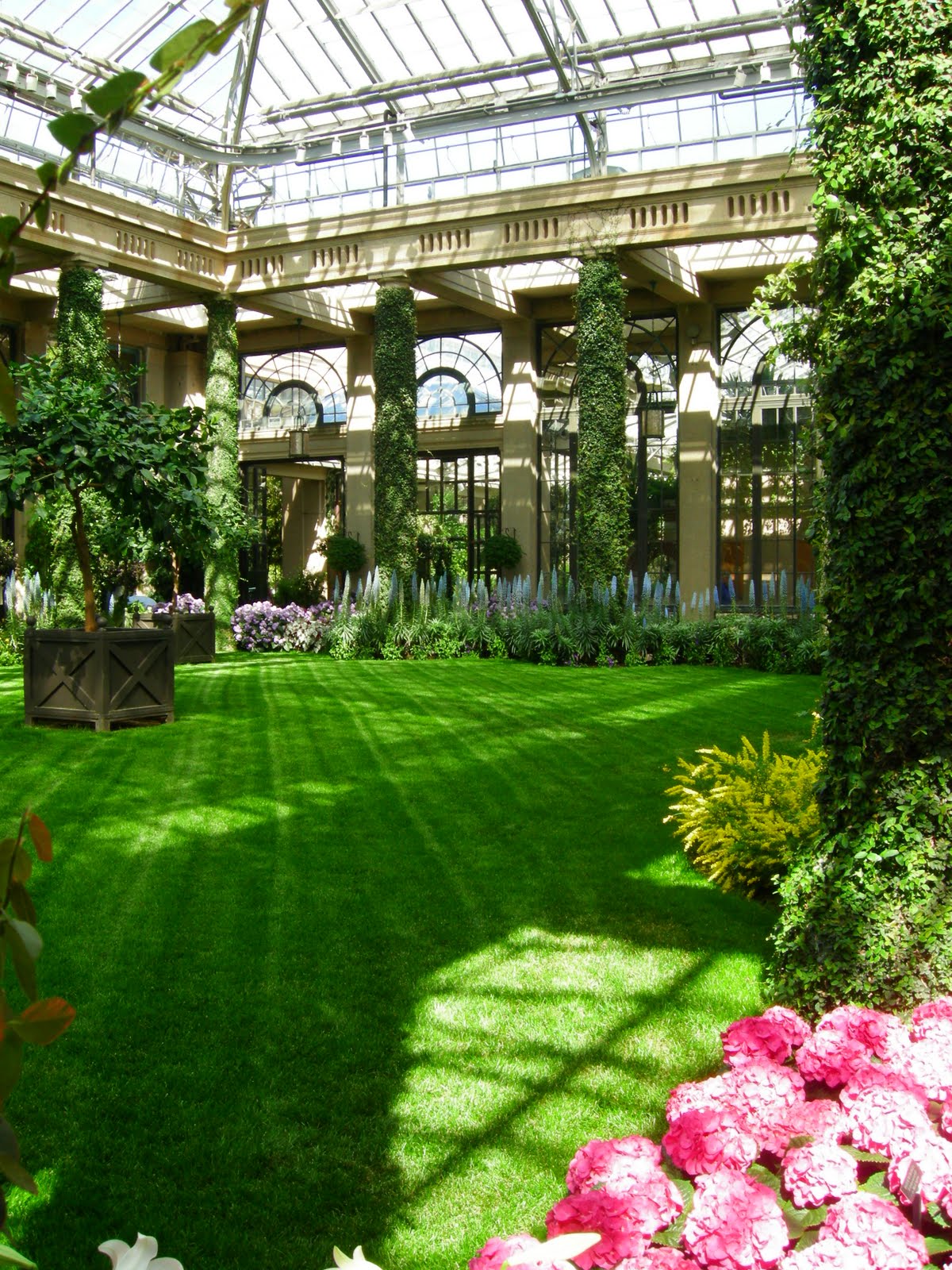 My Ginseng Kamandalu Conservatory at Longwood Gardens, Philadelphia