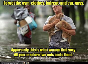[funny-pictures-guy-rescues-cats.jpg]