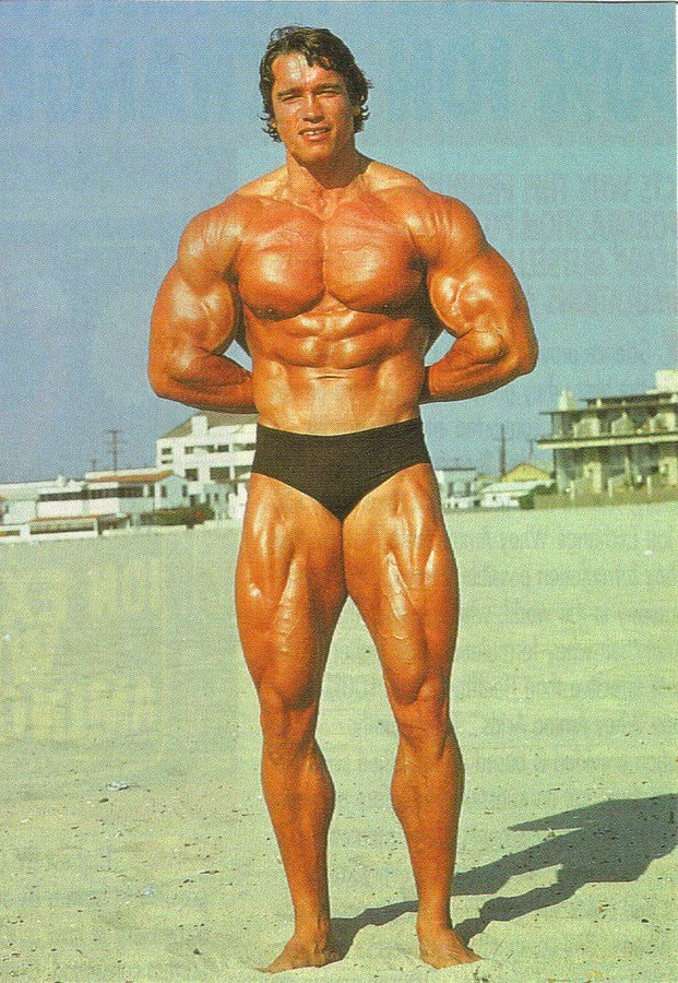 arnold_schwarzenegger_23.jpg