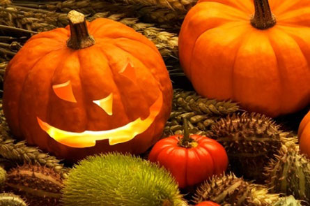 To The Halloween Theme