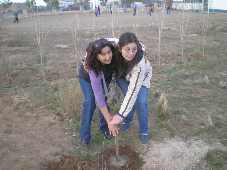 2009 Fiesta del arbol