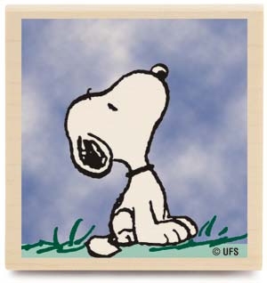 snoopy searching