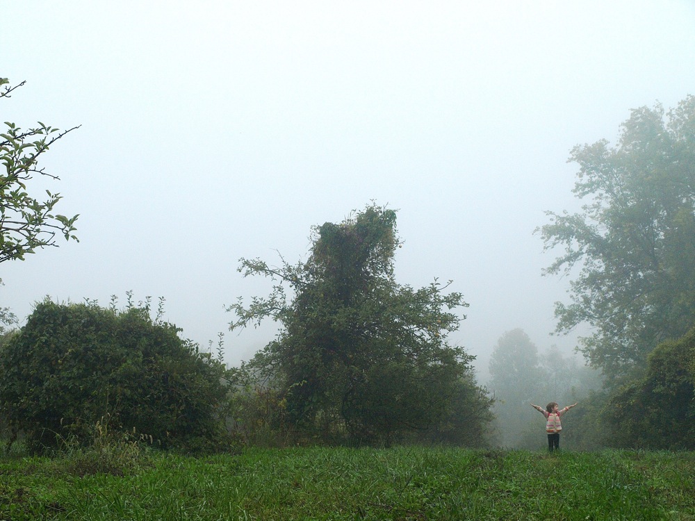 [P9265258sml.JPG]
