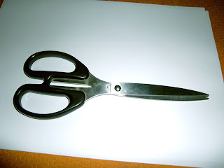 Scissors photo