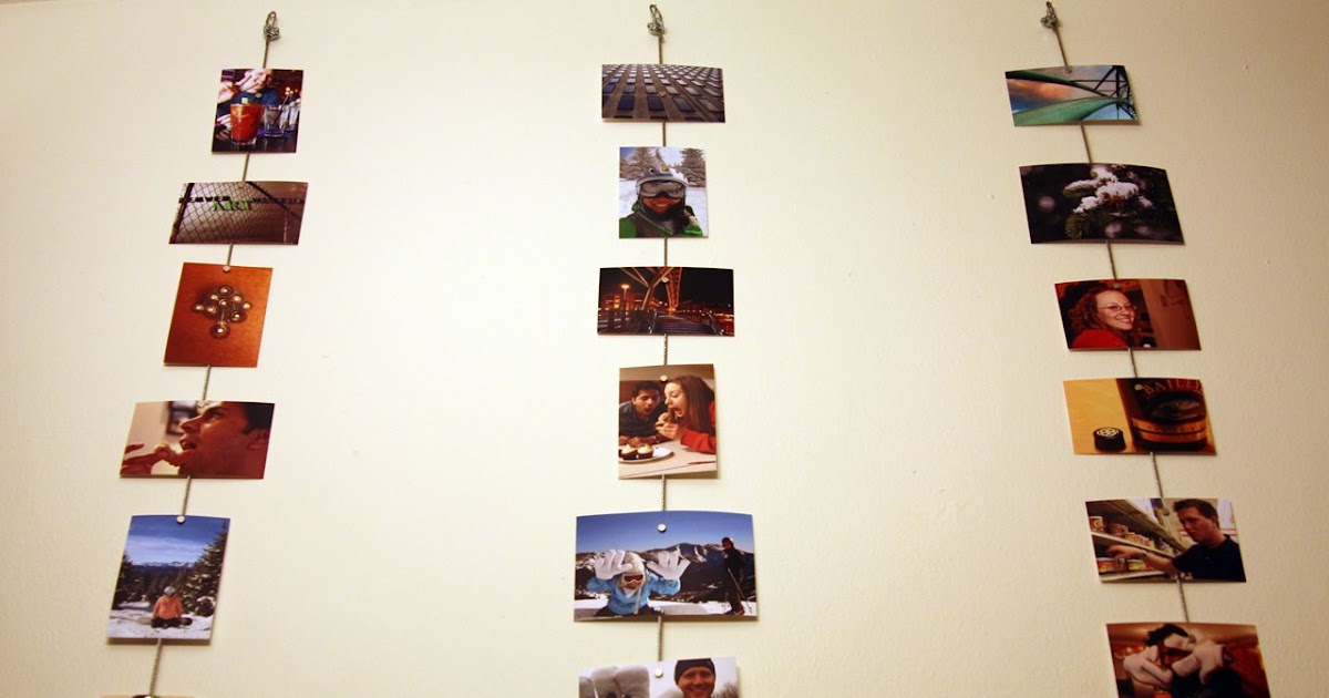 Predatory Bunny 365 in 2009 DIY photo rope