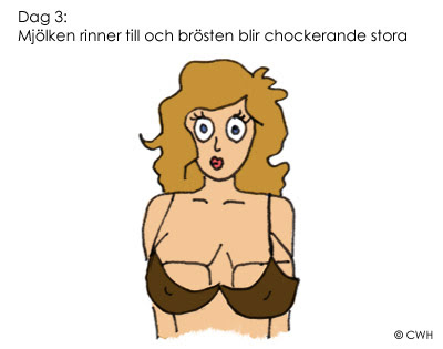 när mjölken rinner till när mjölken rinner till