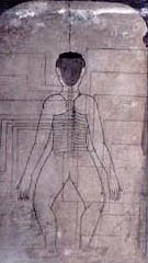 Mapa líneas Sen , lado posterior del cuerpo.