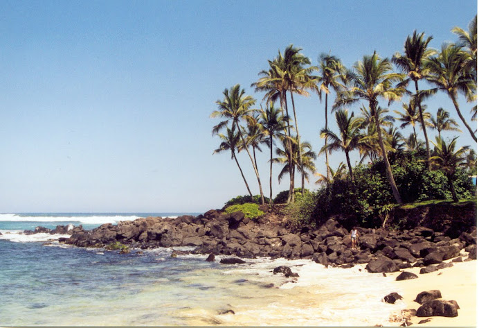Hawaii March 2003