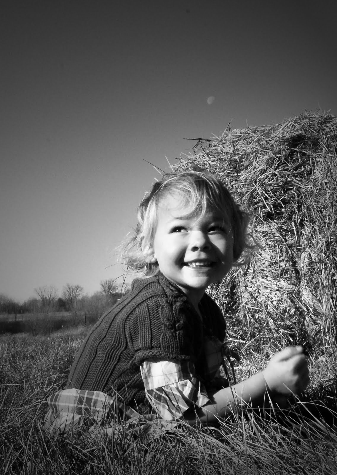 [DSC_0391.JPG]