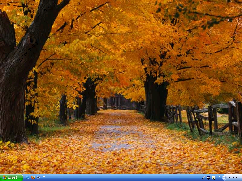 http://3.bp.blogspot.com/_iO3R5_SIwX0/TLb3k1e99WI/AAAAAAAAEyQ/nRL-EVHWSX8/s1600/autumn-beauty-trees-leaves%5B1%5D.jpg